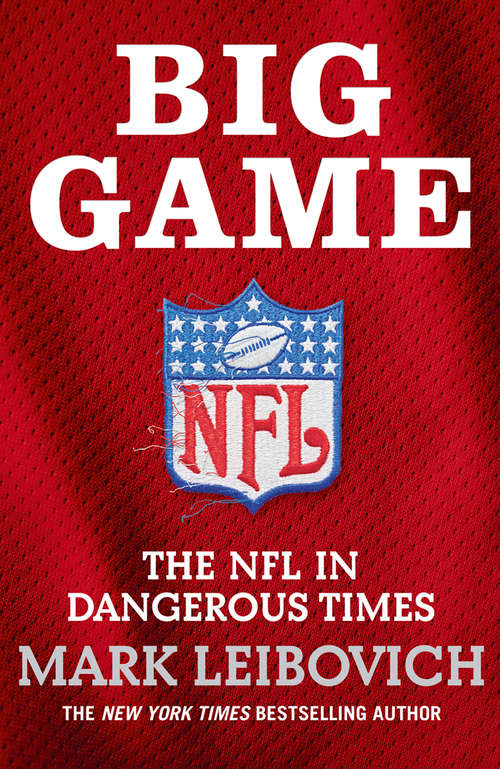 Book cover of Big Game: The Nfl In Dangerous Times (ePub edition)