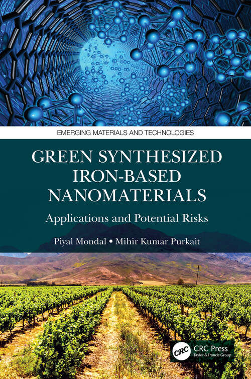 Book cover of Green Synthesized Iron-based Nanomaterials: Applications and Potential Risks (Emerging Materials and Technologies)