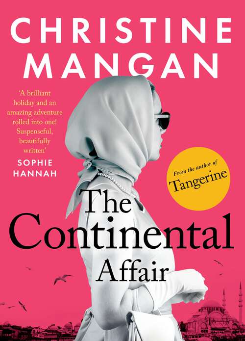 Book cover of The Continental Affair