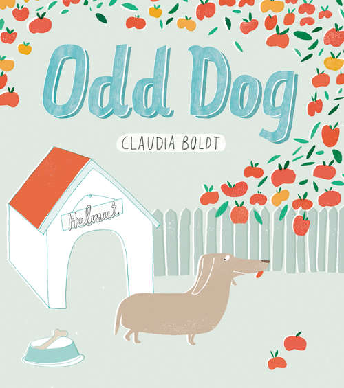 Book cover of Odd Dog