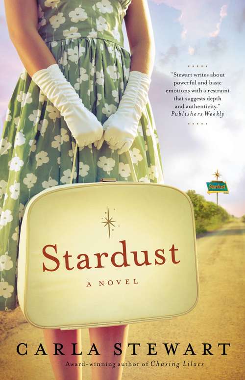 Book cover of Stardust: A Novel