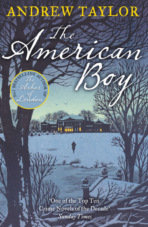 Book cover of The American Boy (ePub edition)