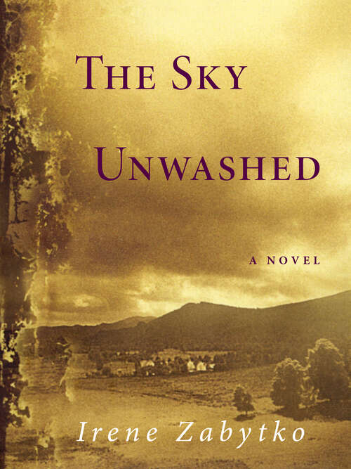 Book cover of The Sky Unwashed