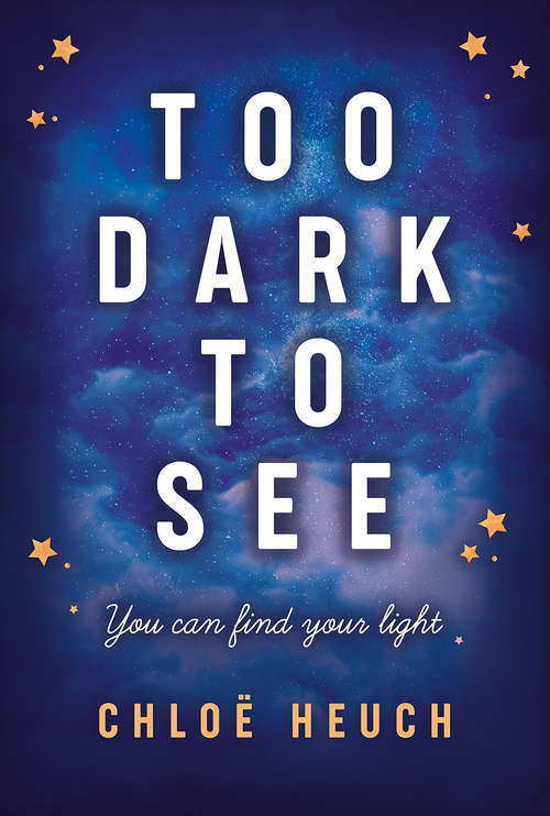 Book cover of Too Dark to See