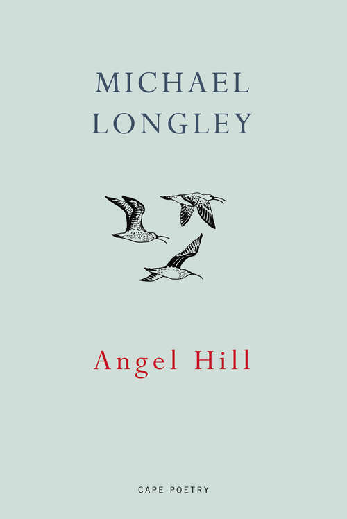 Book cover of Angel Hill