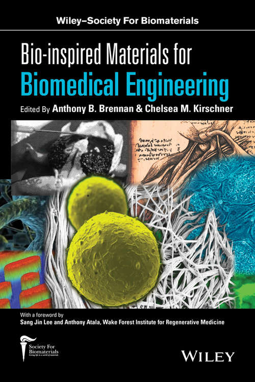 Book cover of Bio-inspired Materials for Biomedical Engineering (Wiley-Society for Biomaterials)