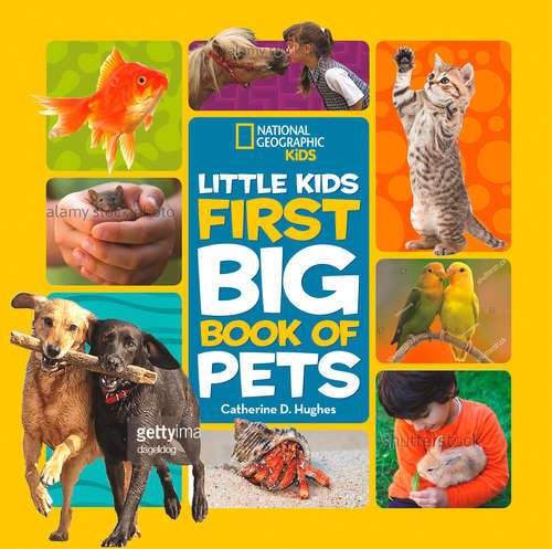 Book cover of Little Kids First Big Book of Pets (ePub edition) (First Big Book)