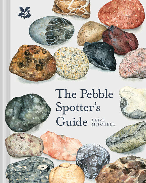 Book cover of The Pebble Spotter's Guide (ePub edition)