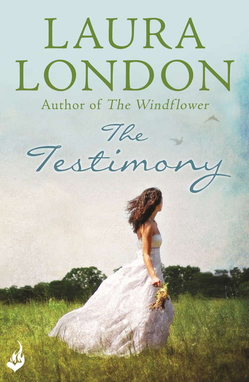 Book cover of The Testimony
