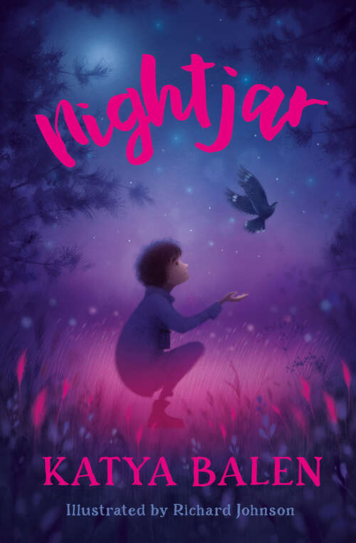 Book cover of Nightjar