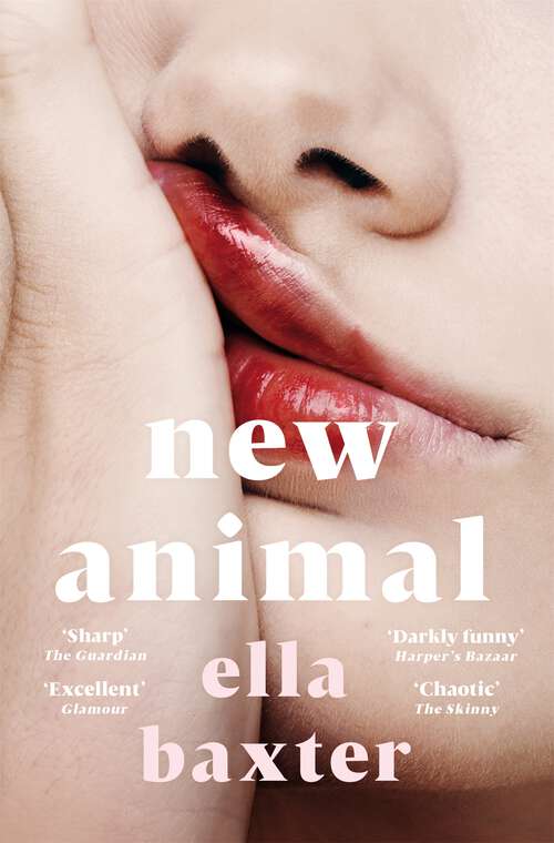 Book cover of New Animal