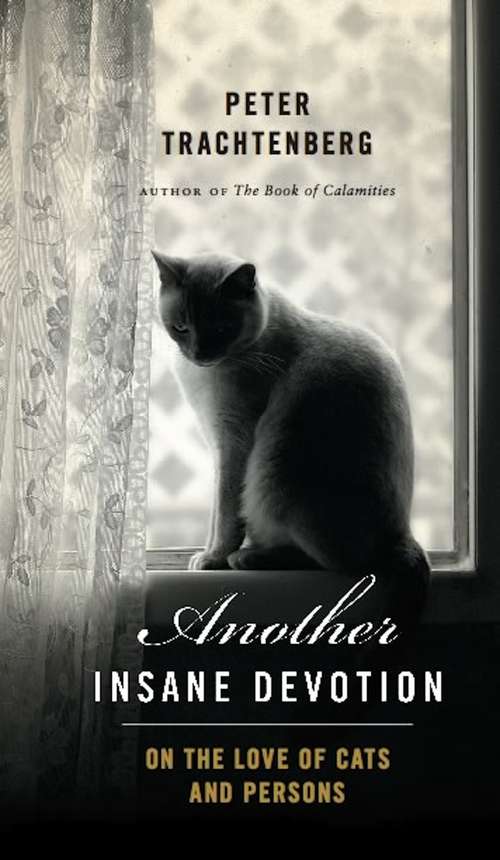 Book cover of Another Insane Devotion: On the Love of Cats and Persons