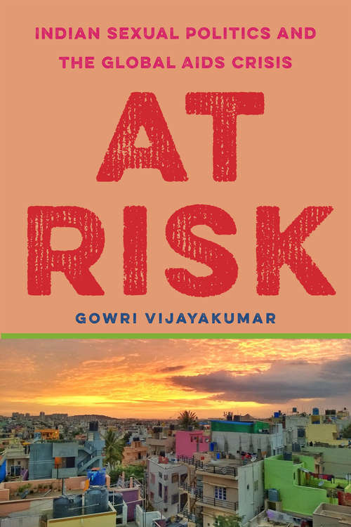 Book cover of At Risk: Indian Sexual Politics and the Global AIDS Crisis (Globalization in Everyday Life)