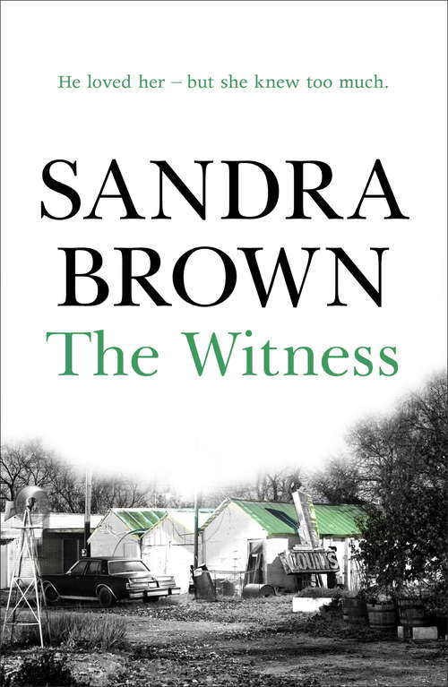 Book cover of The Witness: The gripping thriller from #1 New York Times bestseller