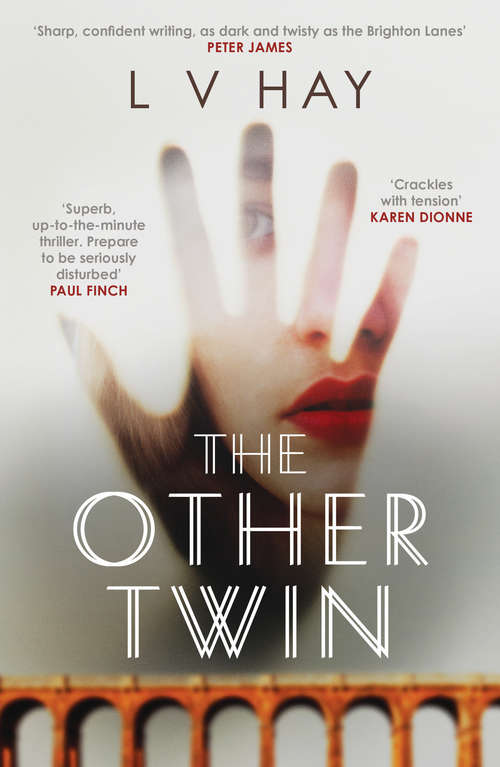 Book cover of The Other Twin