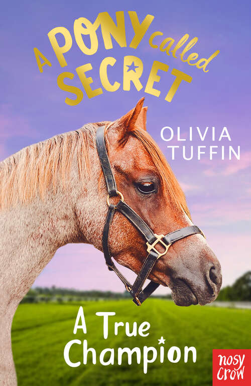 Book cover of A True Champion (A Pony Called Secret)