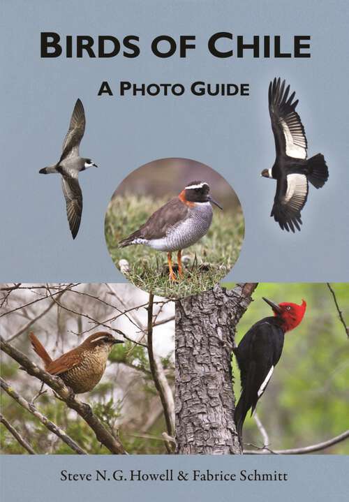 Book cover of Birds of Chile: A Photo Guide