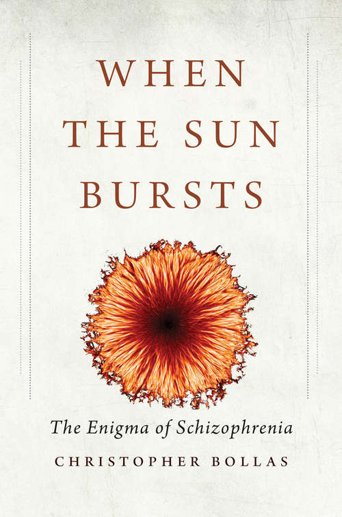 Book cover of When the Sun Bursts: The Enigma of Schizophrenia