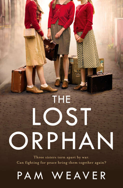 Book cover of The Lost Orphan