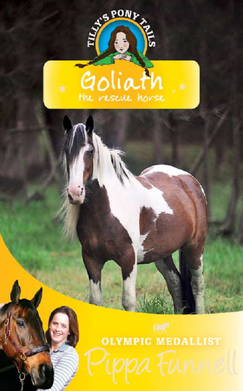 Book cover of Goliath the Rescue Horse: Book 13 (Tilly's Pony Tails #13)