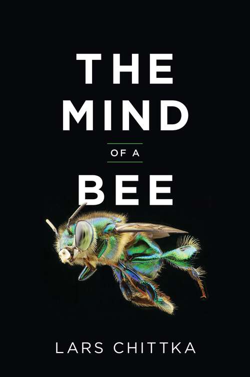 Book cover of The Mind of a Bee