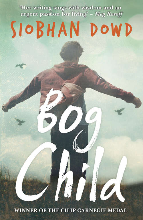 Book cover of Bog Child (Rollercoasters Ser.)