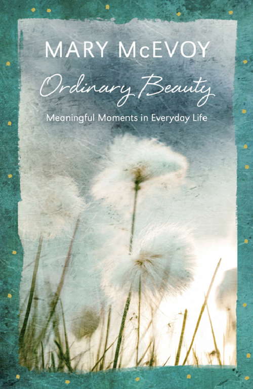 Book cover of Ordinary Beauty: Meaningful Moments in Everyday Life