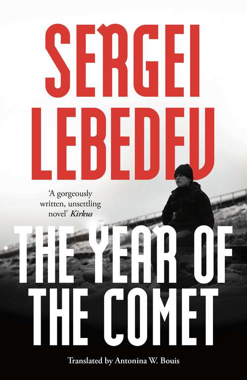 Book cover of The Year of the Comet