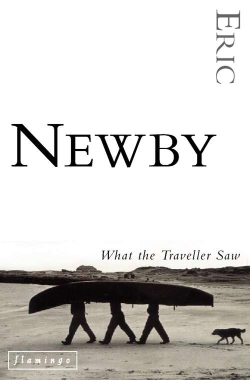 Book cover of What the Traveller Saw (ePub edition)