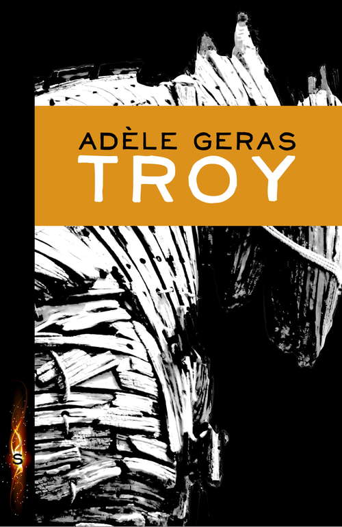 Book cover of Troy (3) (Point Ser.)