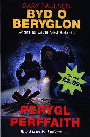 Book cover of Perygl Perffaith (Byd o Beryglon)