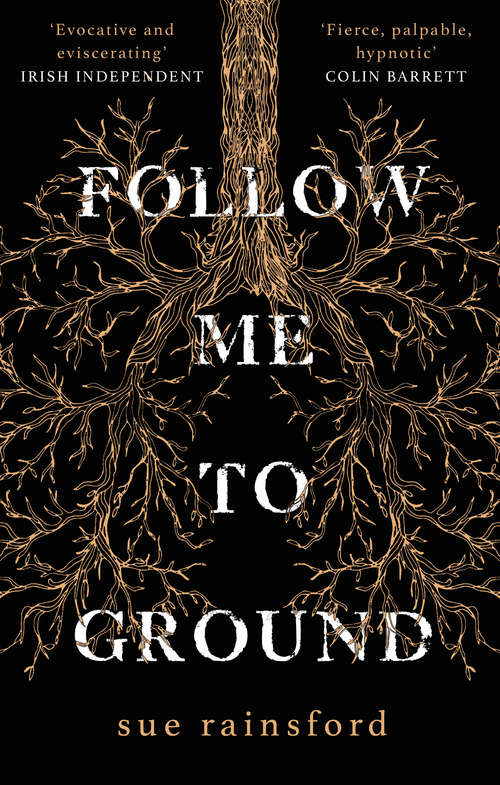 Book cover of Follow Me To Ground: A Novel