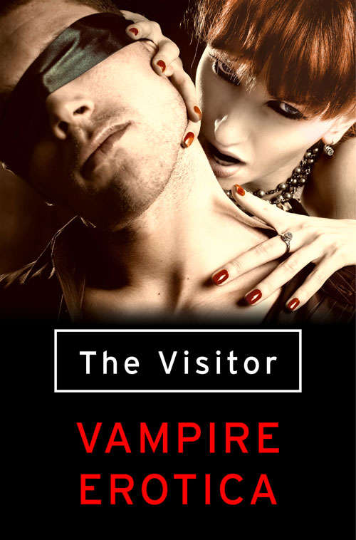 Book cover of The Visitor: Vampire Erotica 1 (ePub edition)