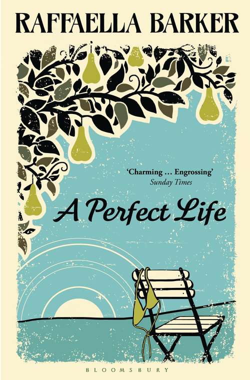 Book cover of A Perfect Life