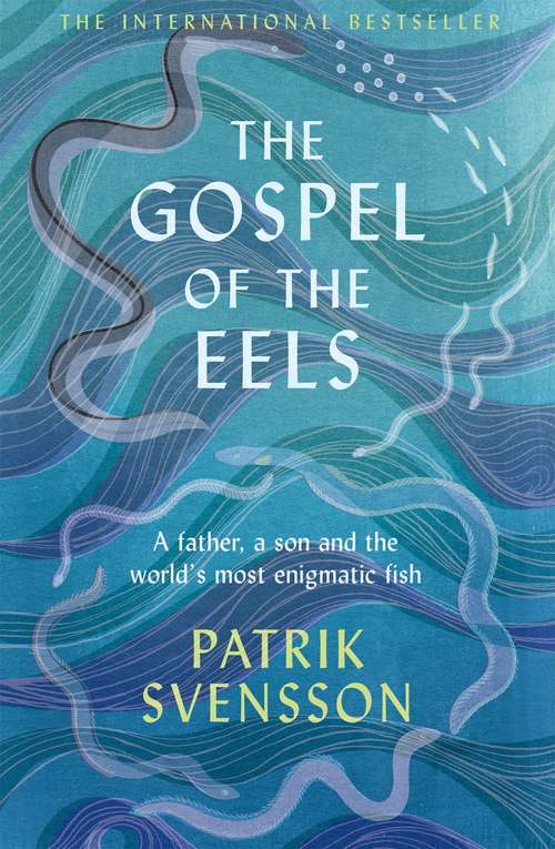 Book cover of The Gospel of the Eels: A Father, a Son and the World's Most Enigmatic Fish