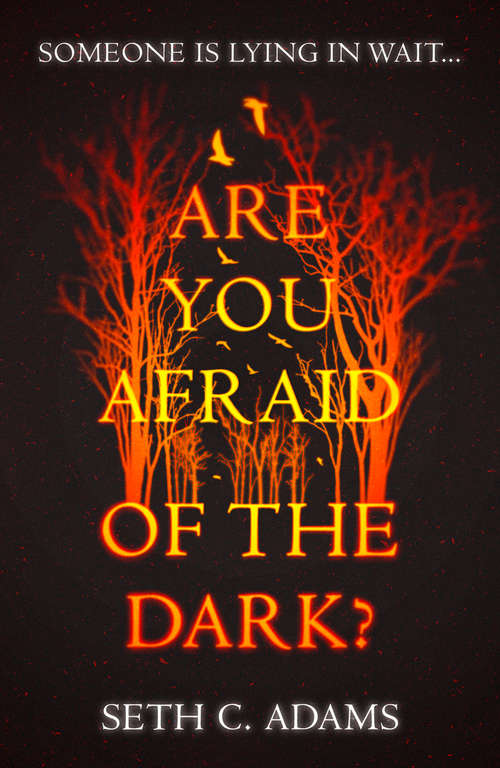 Book cover of Are You Afraid of the Dark?