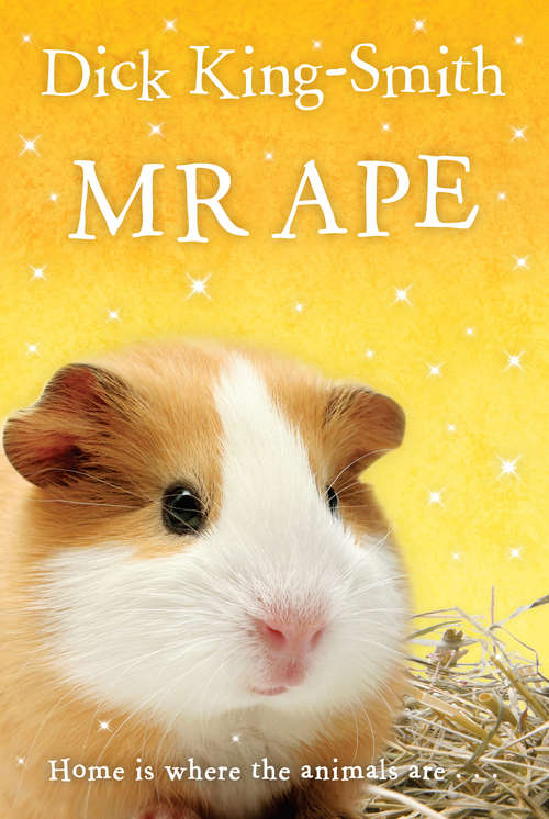 Book cover of Mr Ape (PDF)