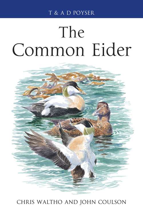 Book cover of The Common Eider