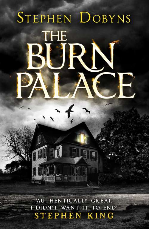 Book cover of The Burn Palace