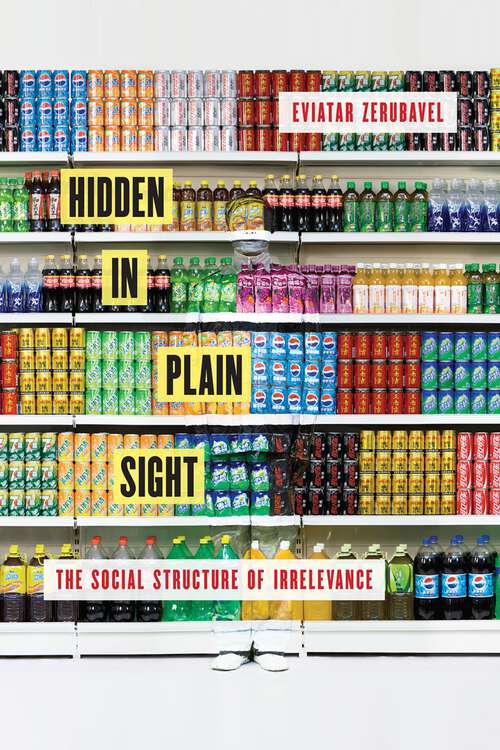Book cover of Hidden in Plain Sight: The Social Structure of Irrelevance