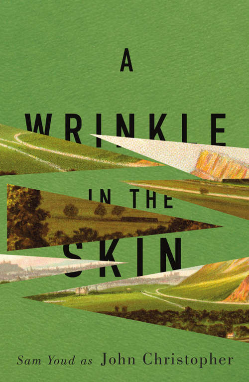 Book cover of A Wrinkle in the Skin