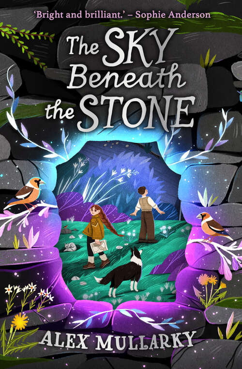 Book cover of The Sky Beneath the Stone (Kelpies Ser.)
