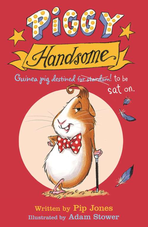 Book cover of Piggy Handsome: Guinea Pig Destined for Stardom! (Main) (Piggy Handsome Ser.)