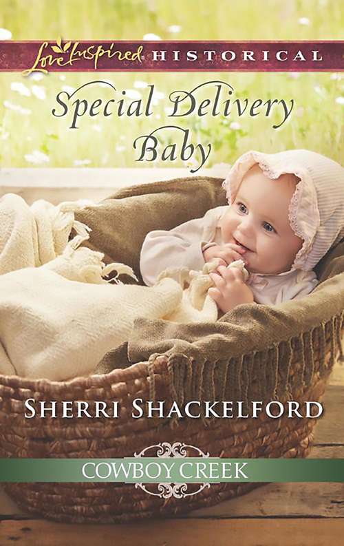 Book cover of Special Delivery Baby: The Cowboy's City Girl Special Delivery Baby The Reluctant Bridegroom His Prairie Sweetheart (ePub edition) (Cowboy Creek #2)