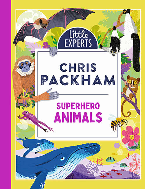 Book cover of Superhero Animals (Little Experts: Book 6)