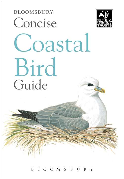 Book cover of Concise Coastal Bird Guide (The Wildlife Trusts)