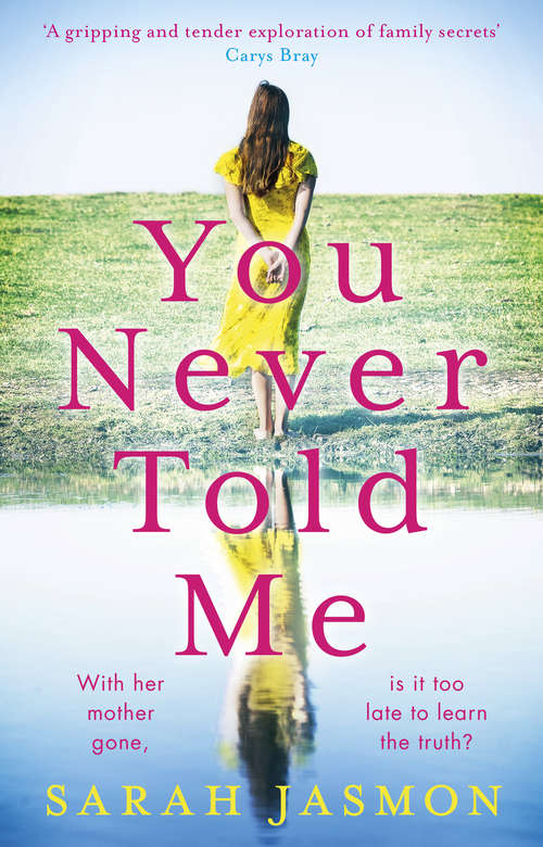 Book cover of You Never Told Me