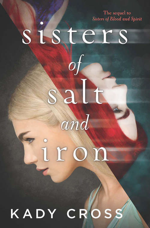 Book cover of Sisters Of Salt And Iron (ePub edition) (Sisters of Blood and Spirit #2)