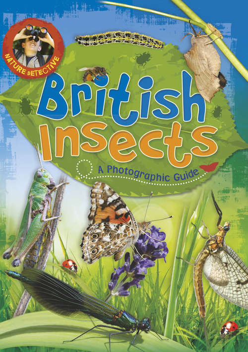 Book cover of British Insects: Insects (Nature Detective #6)