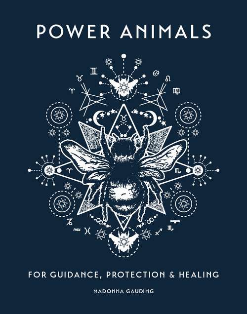 Book cover of Power Animals: For Guidance, Protection and Healing